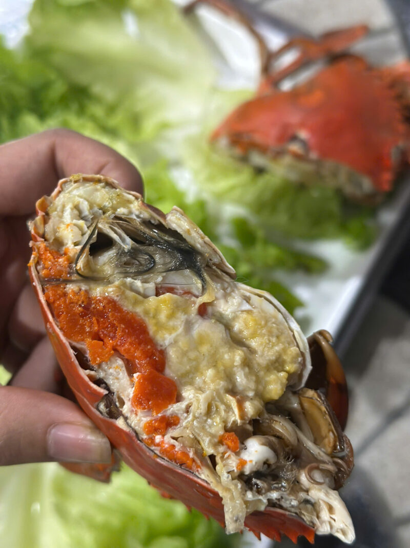 Cua gạch