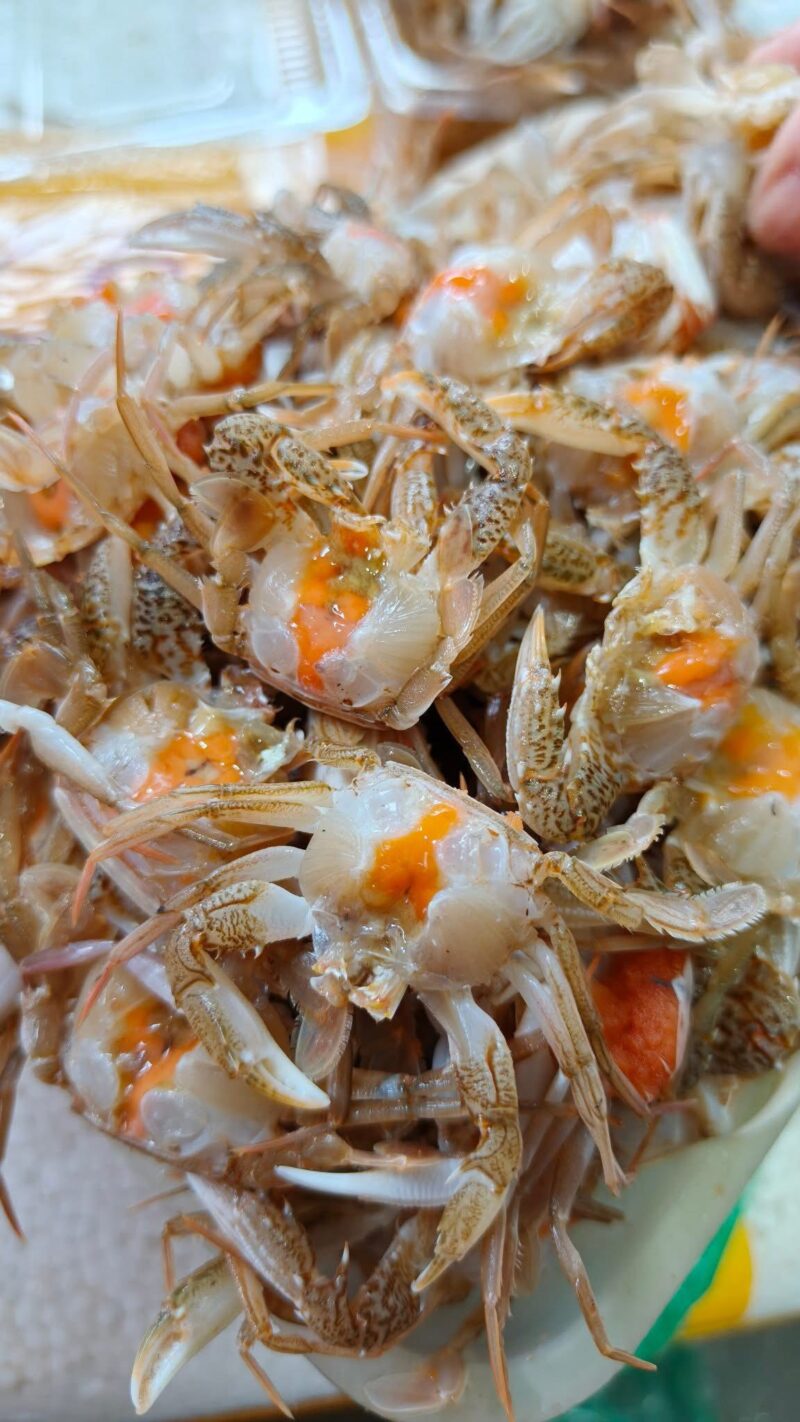 Ghẹ sữa