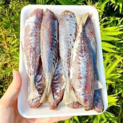 Cá lục một nắng