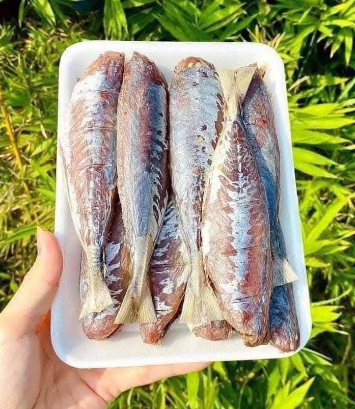 Cá lục một nắng